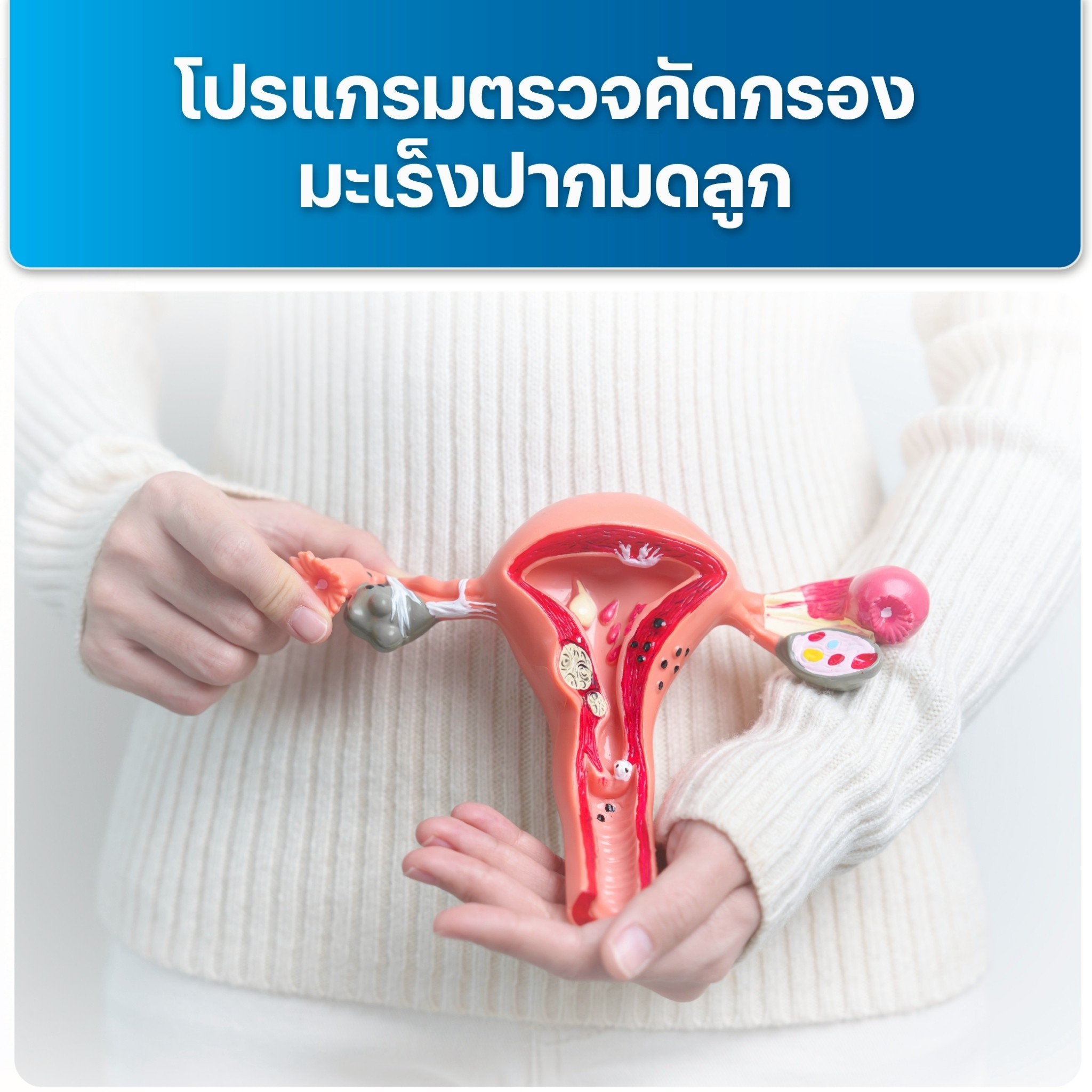 https://aikchol.com/upload/package-promotion/package-promotion-31072025-164234.jpeg